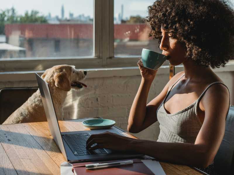 Magie der Zusammenarbeit